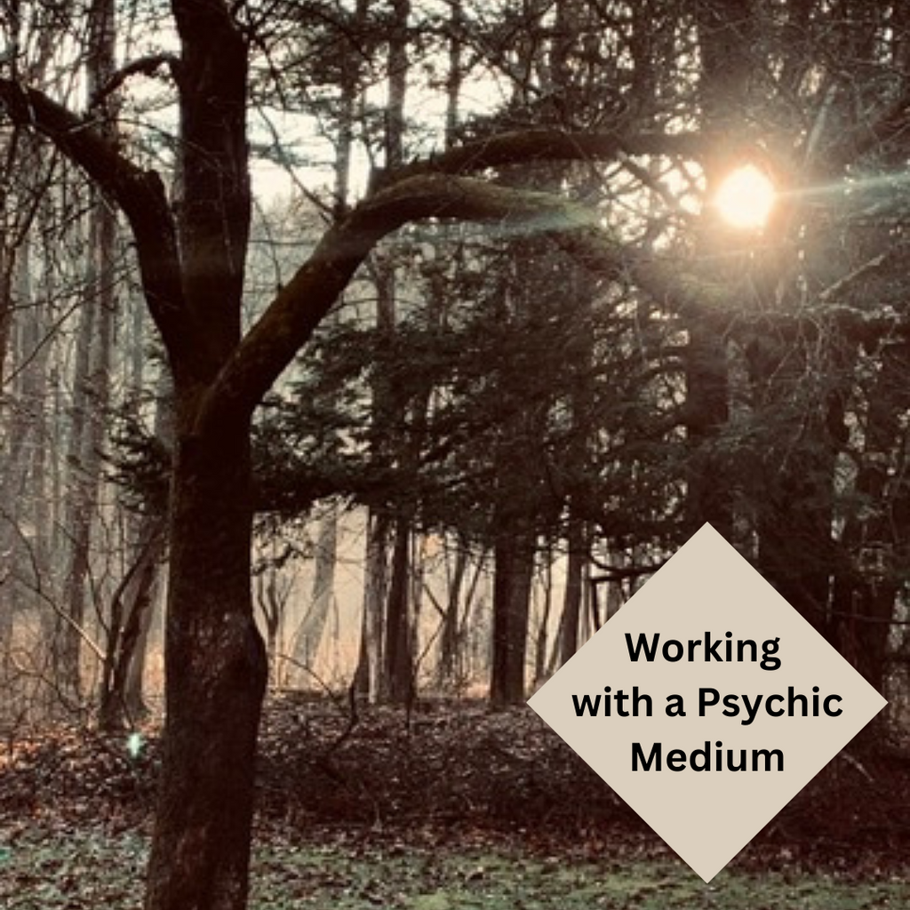 Working with a Psychic Medium