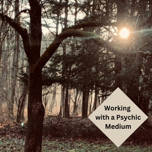 Working with a Psychic Medium