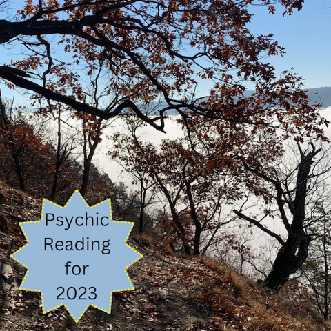 GIFTCARD for Looking into 2023 Psychic Reading