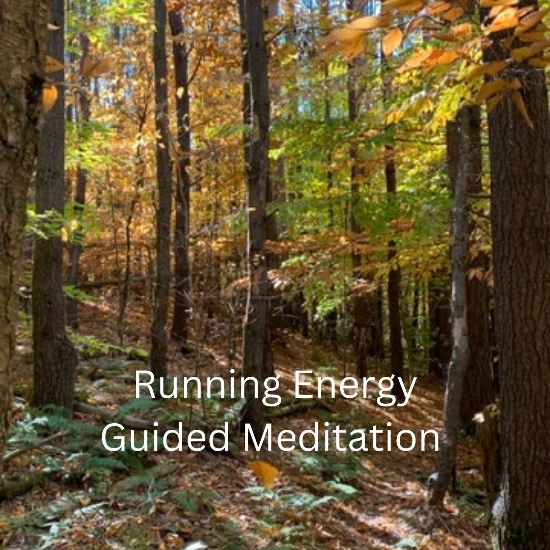 "Becoming an Energetic Ninja" Video Series: Running Energy Guided Meditation