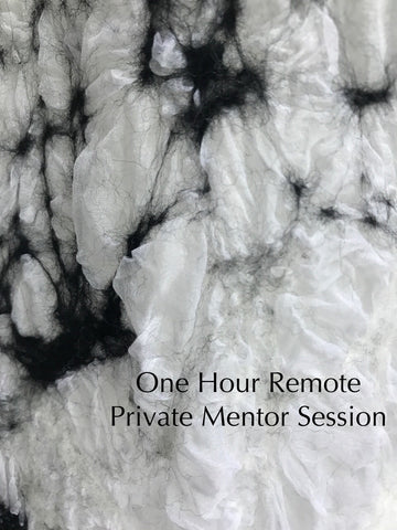 One Hour Private Mentor Session